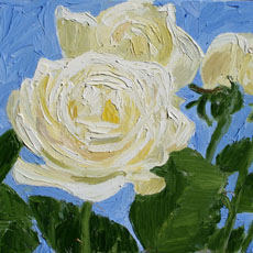 white roses